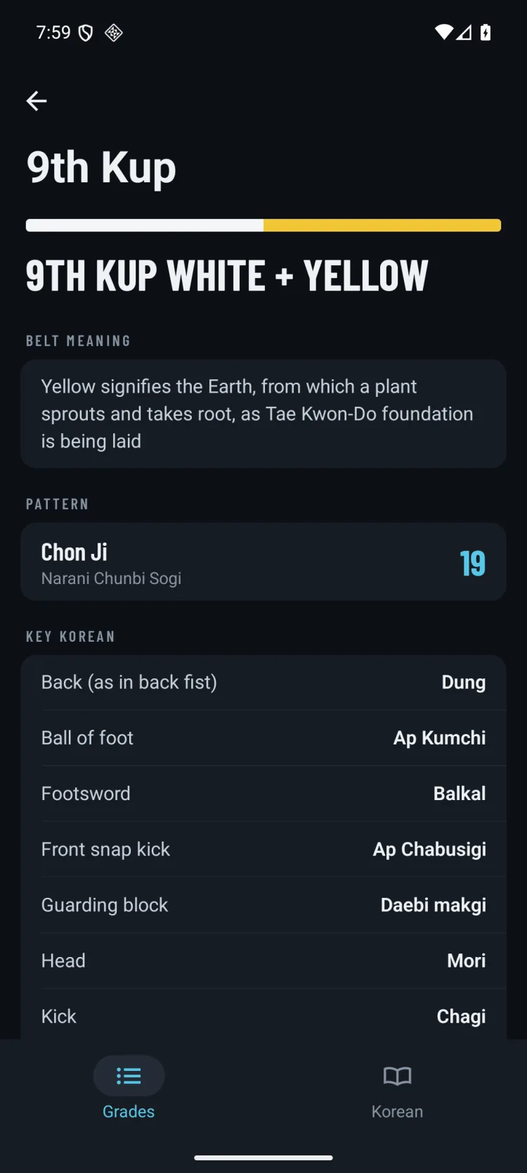 9th Kup white and yellow on Android: what the yellow belt signifies, the pattern Chon Ji with its 19 movements, and the key Korean terms